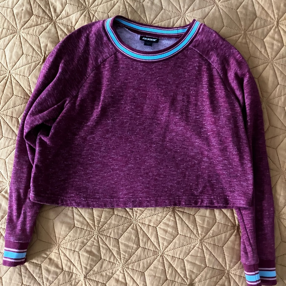Used Juniors Purple Cropped Top